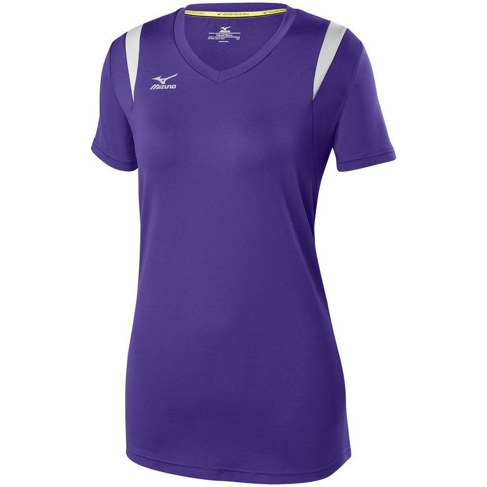 Jersey Mizuno Voleibol Balboa 5.0 Long Sleeve Para Mujer Morados/Plateados 4596810-ZQ